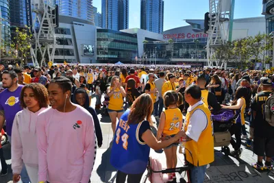 DSC_7198 (Large).JPG